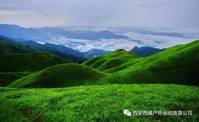 僵尸敲方块